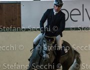 Edwina FZ TosTour2013- S5 3214 : Arezzo, Arezzo Equestrian Centre, Cavalli d'Italia, Edwina FZ, Toscana Tour 2013, foto di Stefano Secchi ©